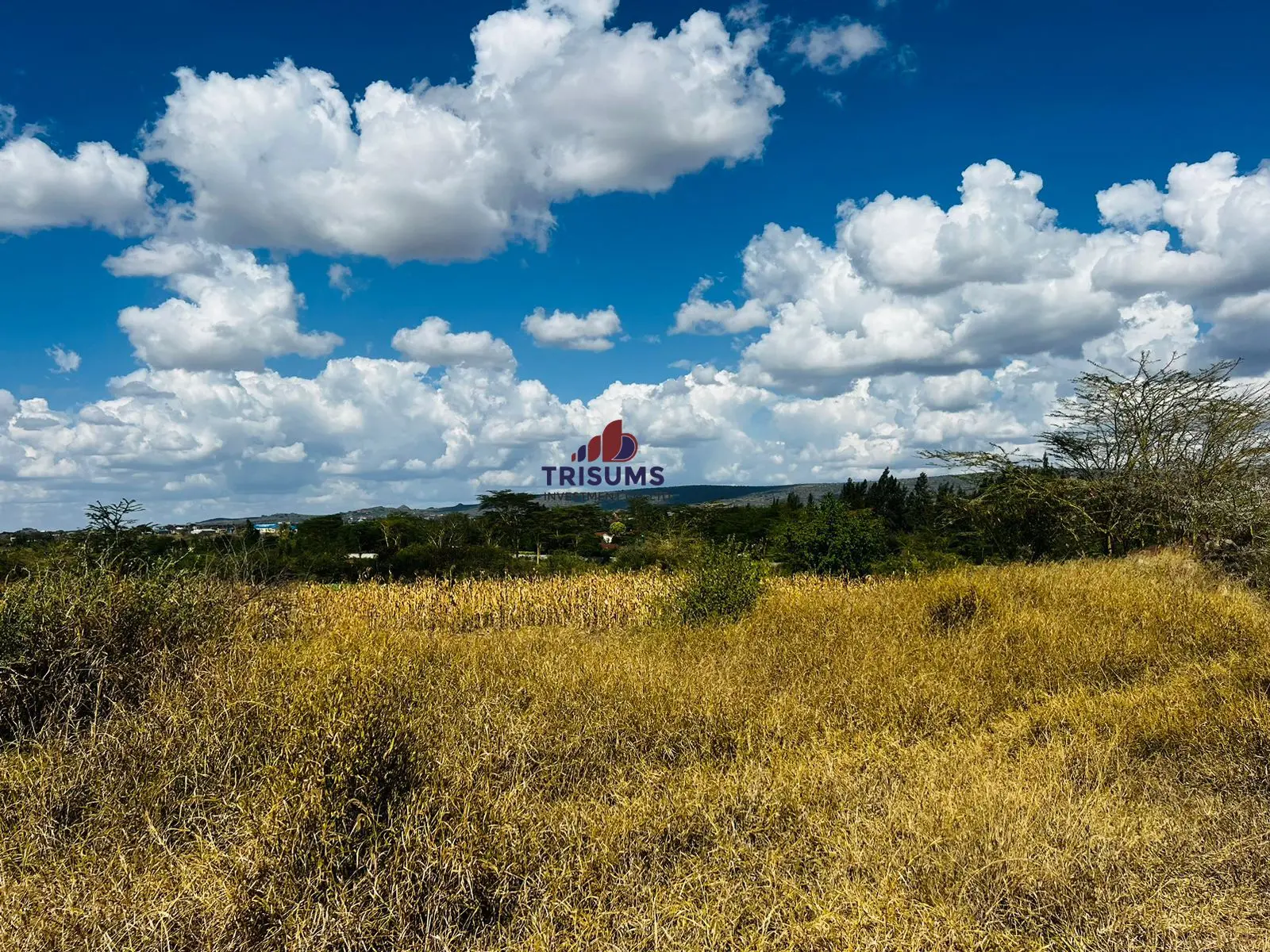 Prime 28-Acre Land for Sale in Athi River